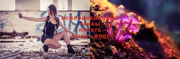 хмурый Медногорск