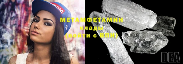 прущие грибы Михайловск