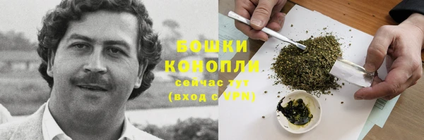 прущие грибы Михайловск