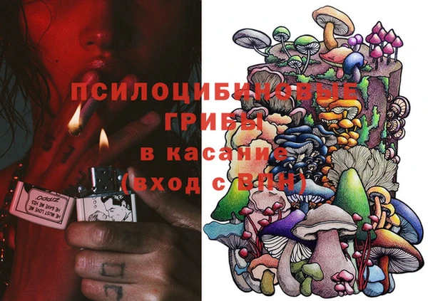 ПСИЛОЦИБИНОВЫЕ ГРИБЫ Михайловка