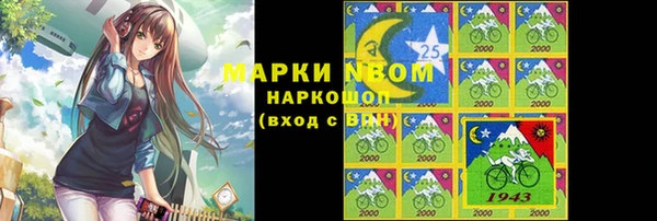 хмурый Медногорск