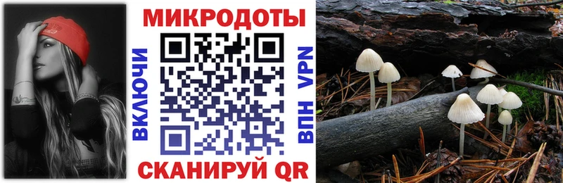 купить наркоту  Нюрба  ссылка на мегу вход  Псилоцибиновые грибы мухоморы 